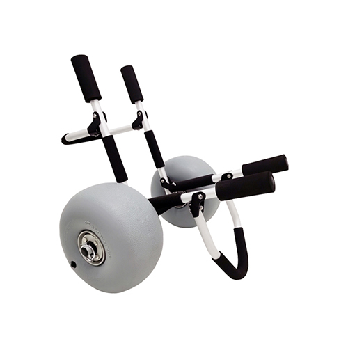 Xe đẩy ván lướt sóng trên bãi biển